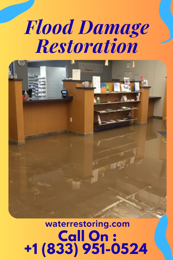 Flood Damage Restoration in Big Bend, WI
