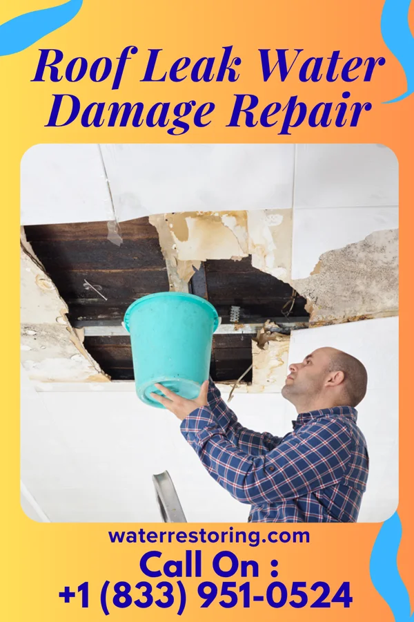 Roof Leak Water Damage Repair in Big Bend, WI
