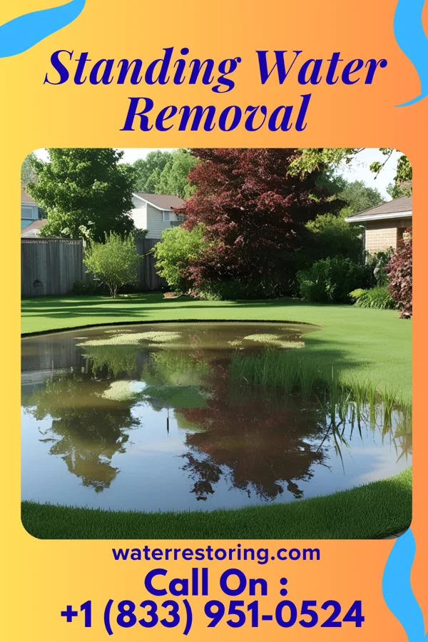 Standing Water Removal in Big Bend, WI